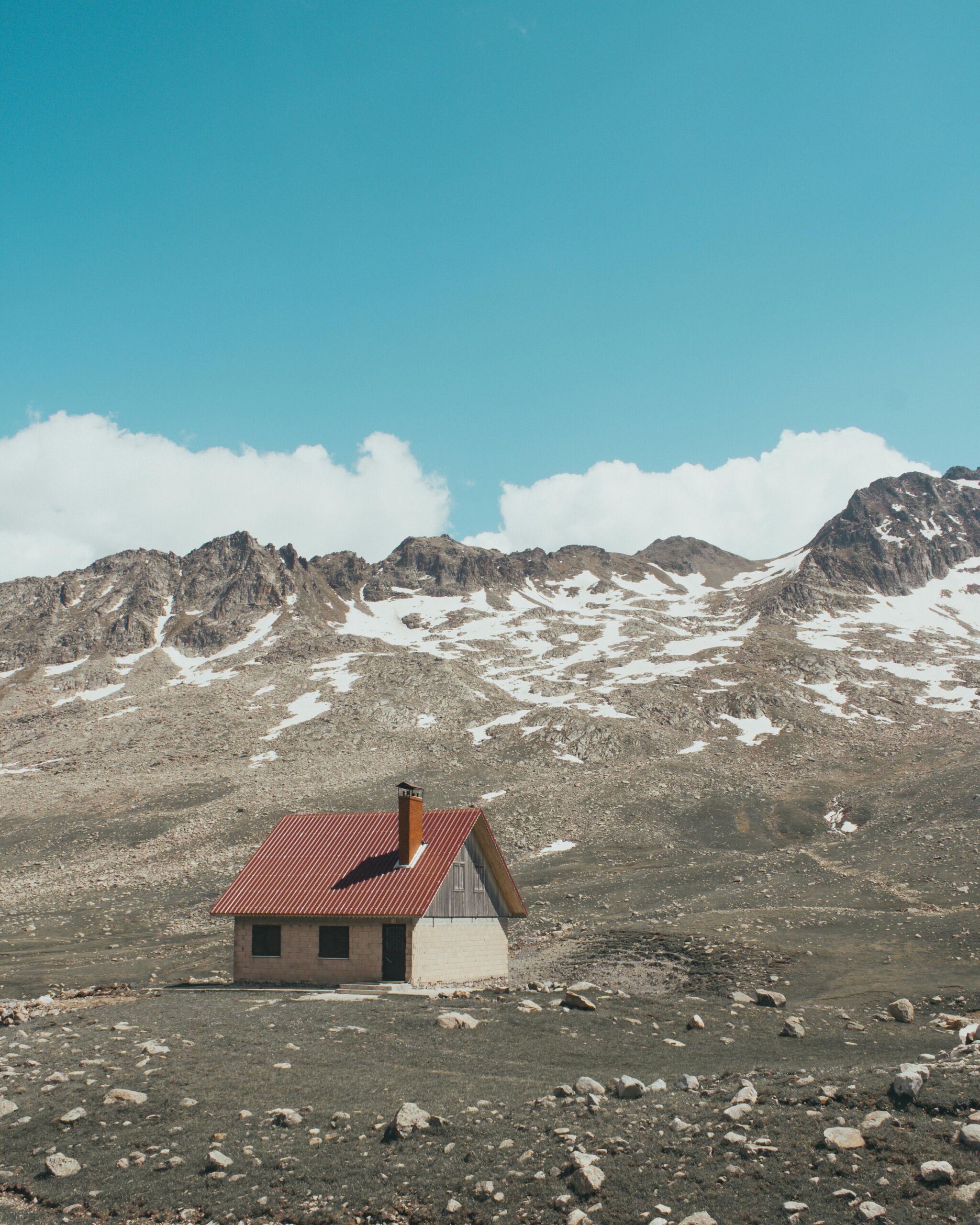 pexels-emrecan-2189666